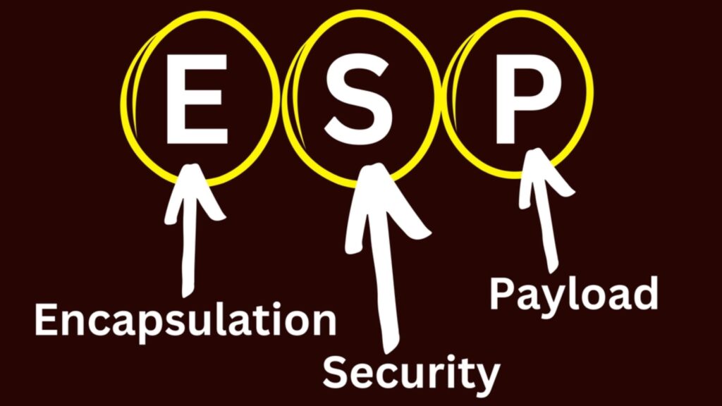 The Encapsulating Security Payload (ESP) protocol is a key part of network security, found in the IPsec suite