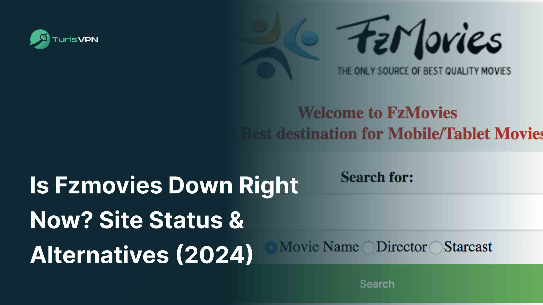 Is Fzmovies.asia Down Right Now? Site Status & Alternatives (2024)