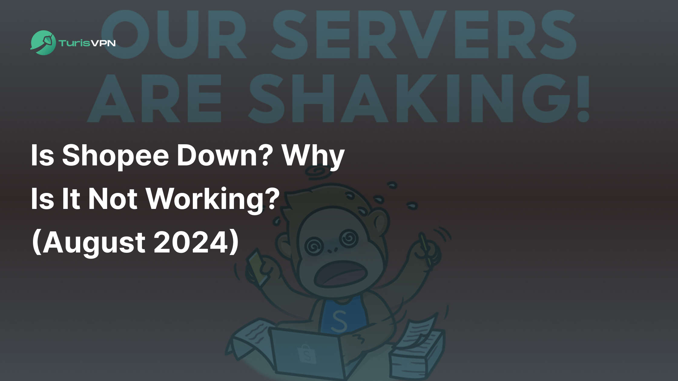 Is Shopee Down? Why Is It Not Working? (August 2024) thumbnail