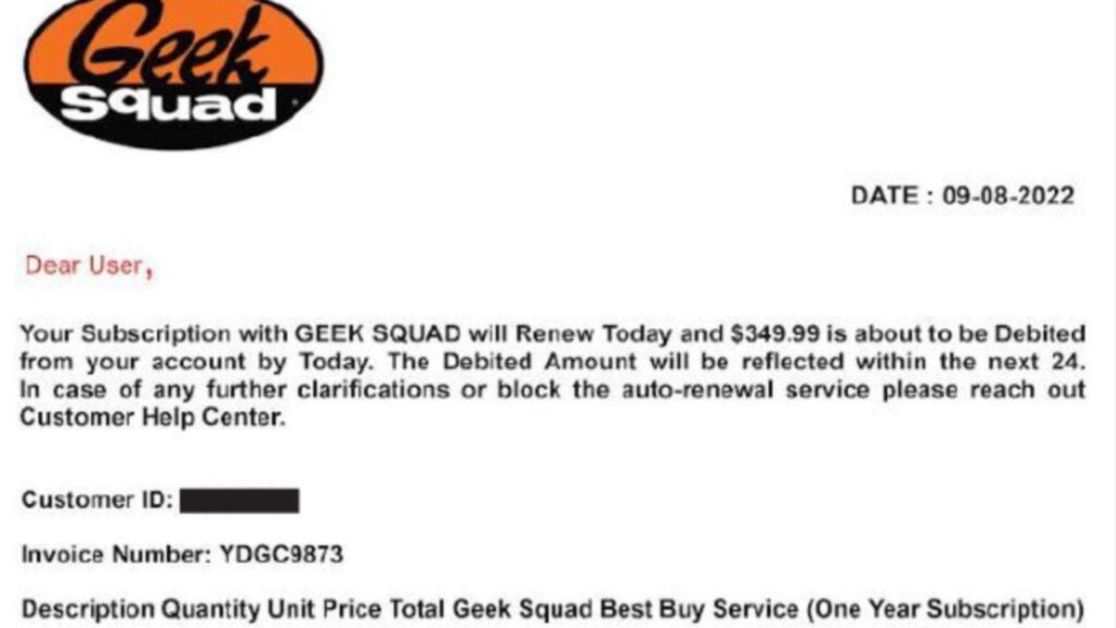 Geek Squad Scams