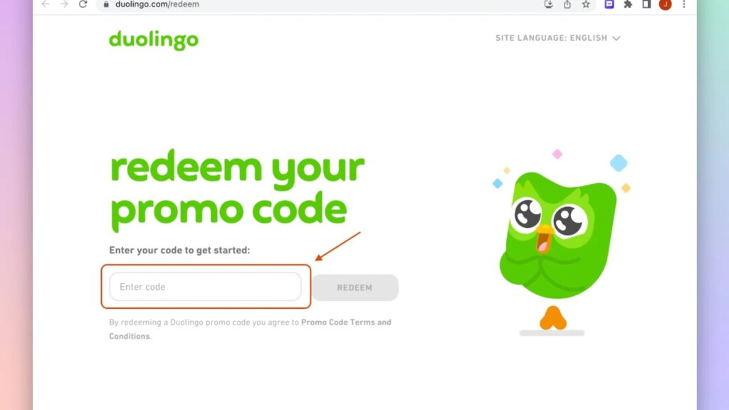 Look for Duolingo Discounts and Promotions