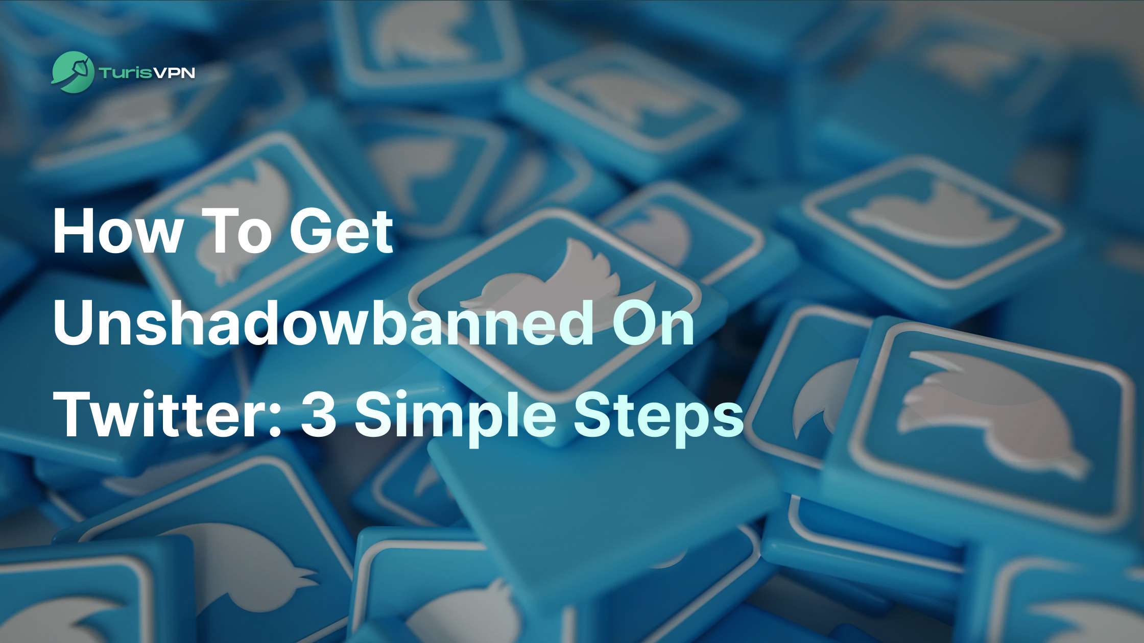 How to Get Unshadowbanned on Twitter: 3 Simple Steps