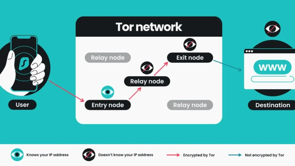 Encrypted Browsers Like Tor