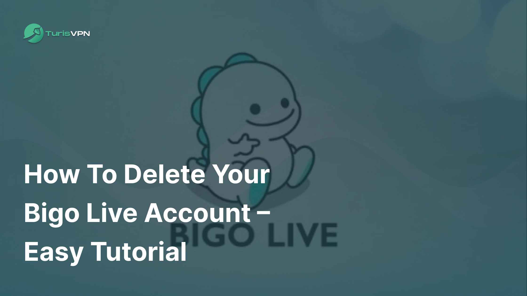 How to Delete Your Bigo Live Account – Easy Tutorial 2025 Update