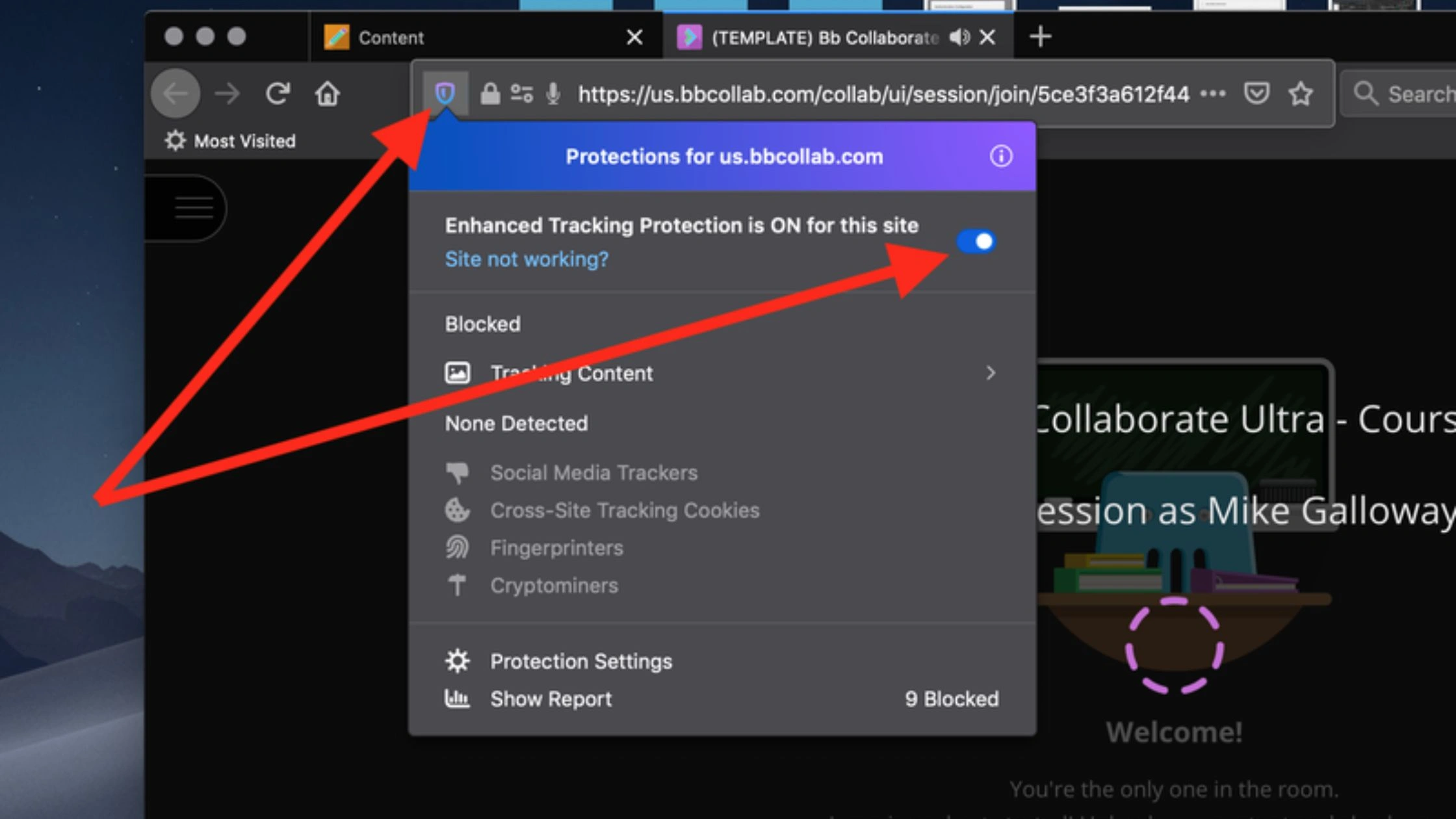alt: Disable Cross-Site Tracking in Firefox on desktop