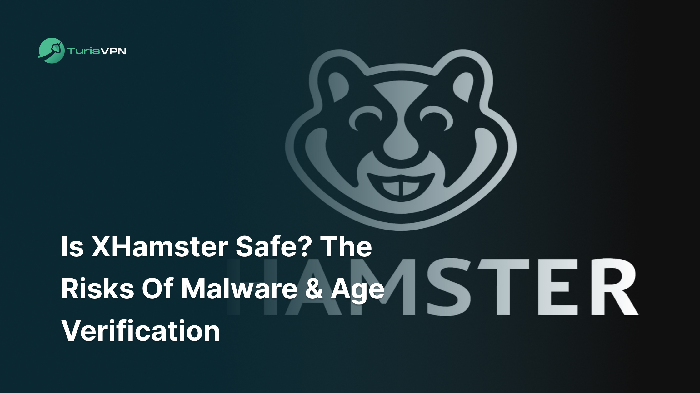 Is XHamster Safe In 2026 And How To Protect Your Privacy